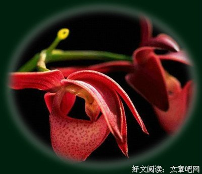 汉字哲理集锦（三四）