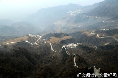 动物哲思大观