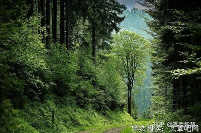 人生有一种跌倒叫畏惧不前