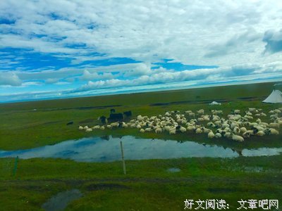 你若是领队，如何带好一个团队