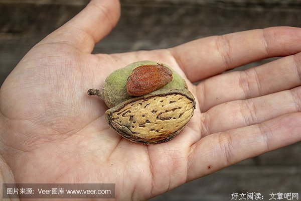 一个人的财富就在他自己身上