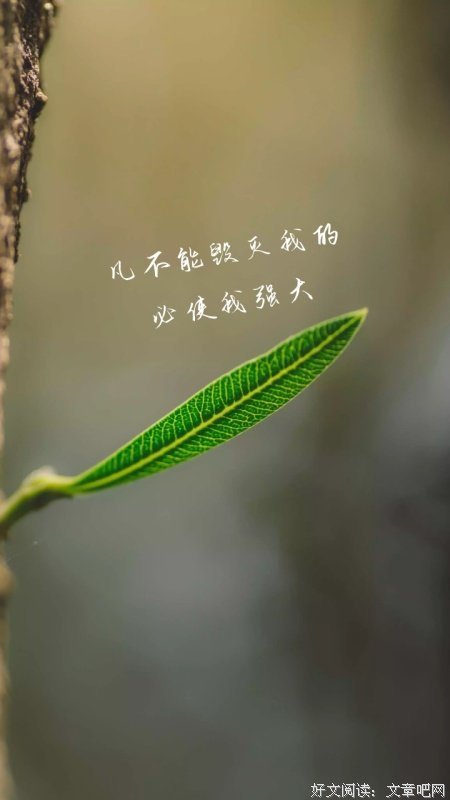 凡没有毁灭我的，必使我强大