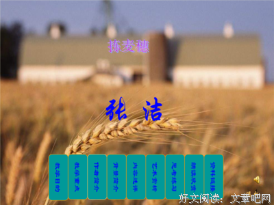 思想的麦穗