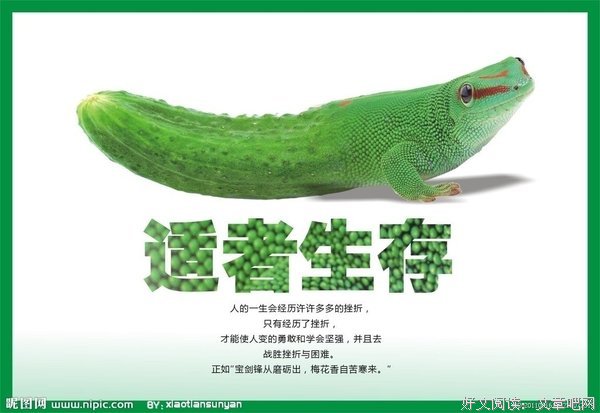 做适者而不做弱者