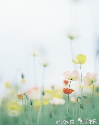 低头是稻穗，昂头是稗子
