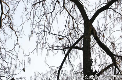 雕刻与人生