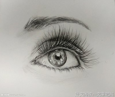 眼睛随想录