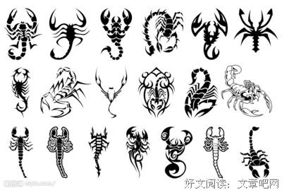 救蝎子要用心，还是用脑
