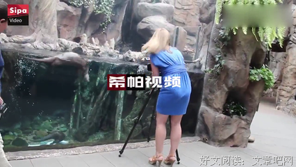成功的人，是懂得借助别人帮助的人