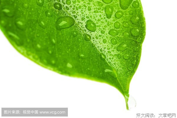 一滴水的渺小与伟大