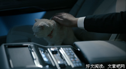 做一个心中有爱的人