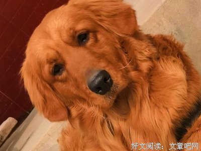 从善如登，从恶如崩