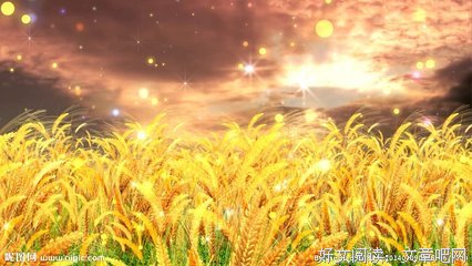 风吹不起草