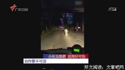 自作孽，不可活