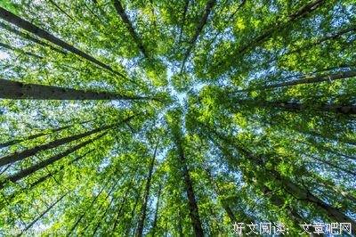 黄小平小品文2020年选入各地中小学语文试卷作品