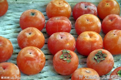 不幸的软柿子