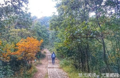 两个老倌爬山