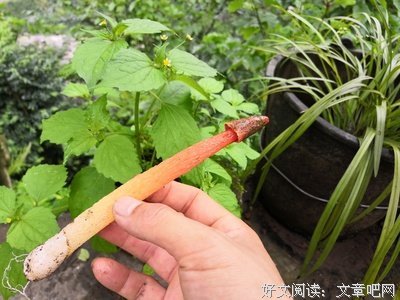 知道的价值