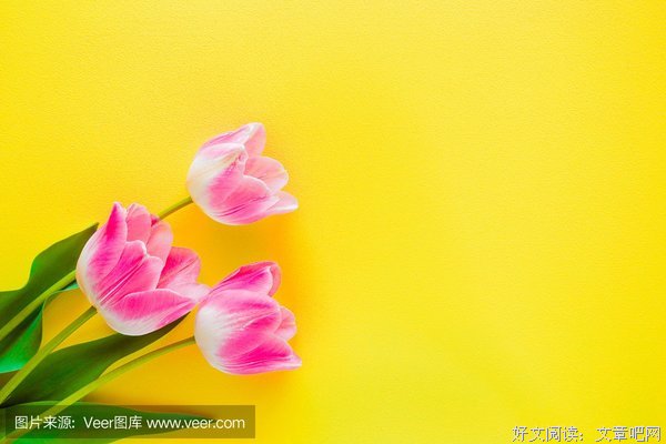 母亲挑鸡