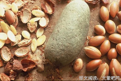 跑不远的山羊