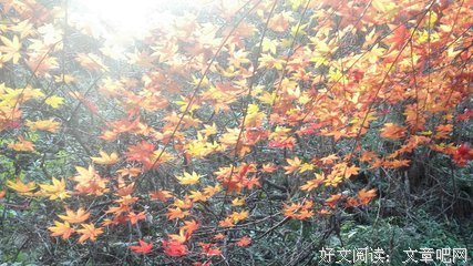 机遇是找来的