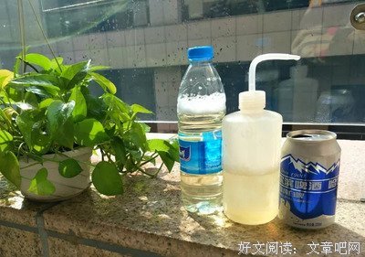 给花浇足水