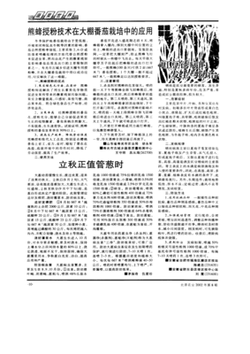 把熊蜂请进大棚里做客