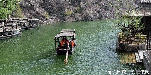 装成狗的狼