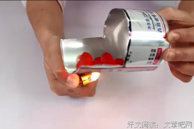 闻着香味的苍蝇