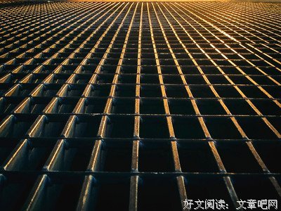 巧捉菜虫