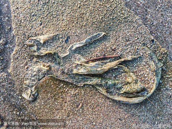 装进袋子里沙土