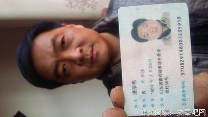 快活的小黄牛