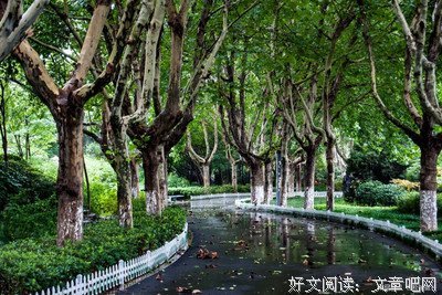 不一样的雨