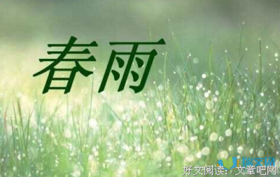轻柔的春雨