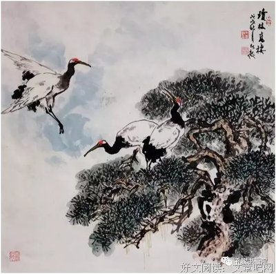 疏密有度的松树