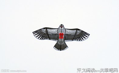 老鹰和风筝