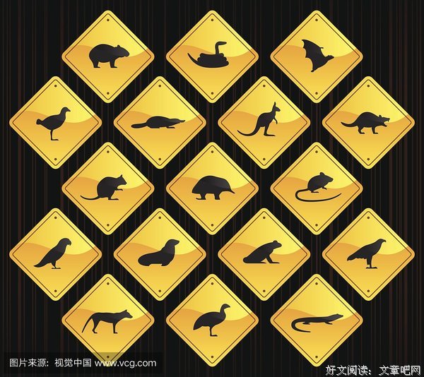 蛇和鹅