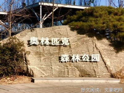 给玫瑰留点空间