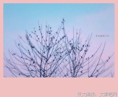 叽叽喳喳的麻雀
