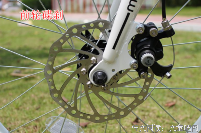 松鼠的快乐生活