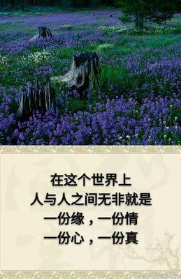 两种鱼和两种人