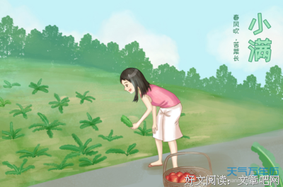 蒲公英的种子