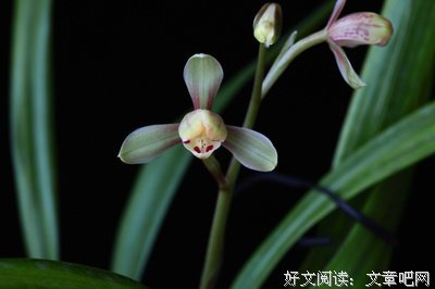 不要轻易下结论