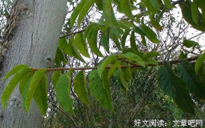 不去碰它