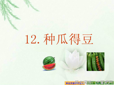 种出好瓜来