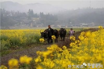 胶鞋上的露水