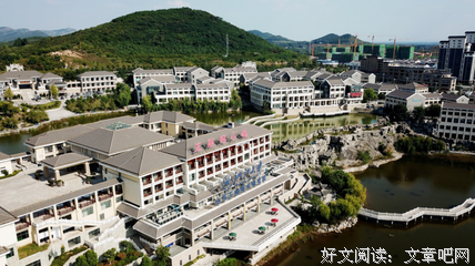 大树和小草