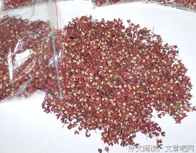 山上的花椒