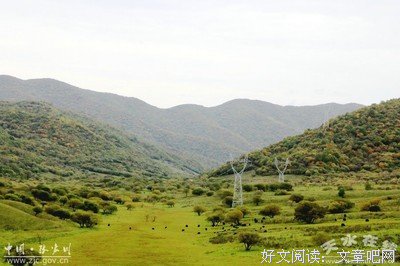 马鹿献礼