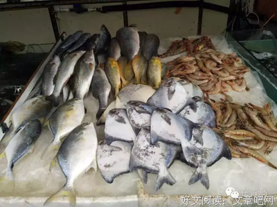 老渔夫的经验